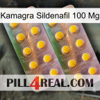 Kamagra Sildenafil 100Mg new10